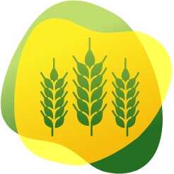 Icon of wheat as food that can cause gas and bloating for persons with gluten intolerance